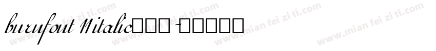 burnfont 11 italic激燃体字体转换